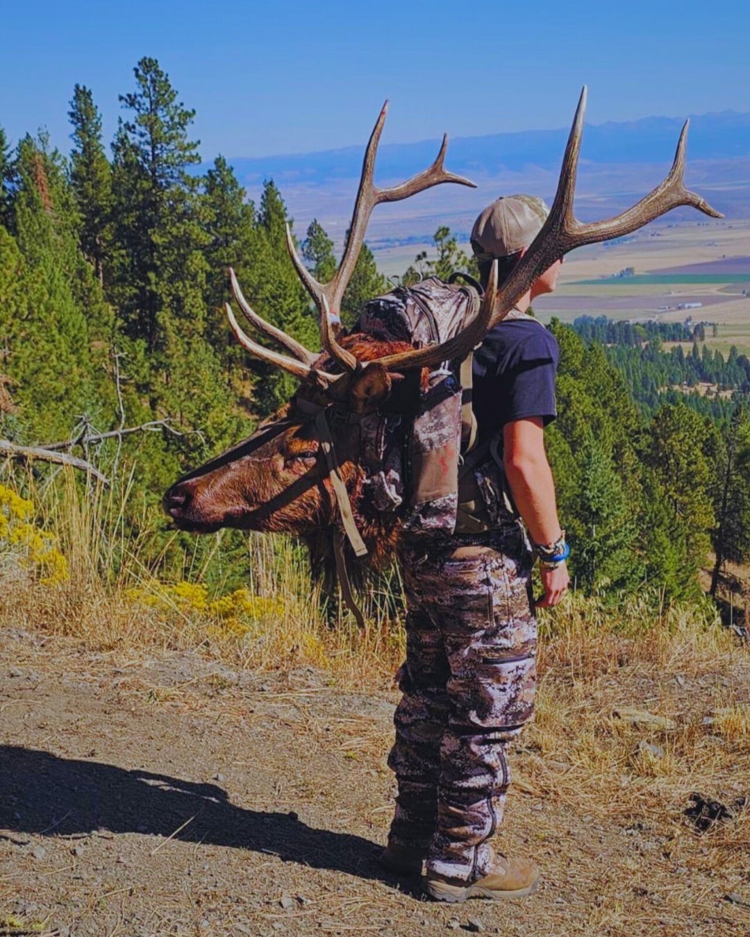 CJ Elk Hunt - Packing out edited & cropped