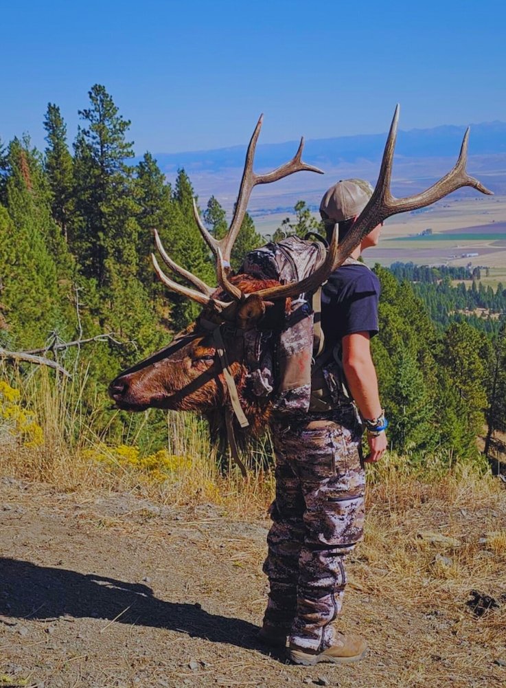 CJ with Elk Head on Pack Edit 1 copy CJ Coudriet Elk Hunt