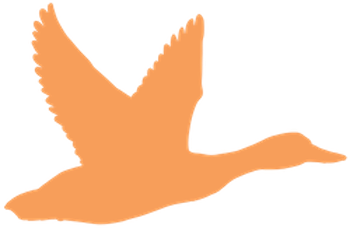 Orange Duck Orange Duck Silhouette